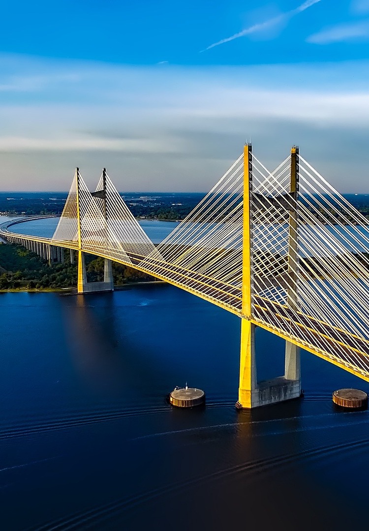 dames-point-bridge-1768738_1920